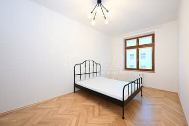 Náhled fotografie 7