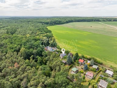 Náhled fotografie 12